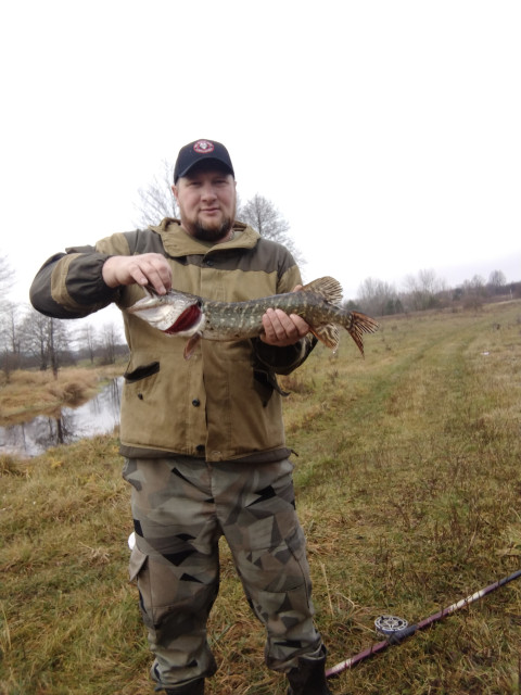 Юрий  Киселёв, Россия, Москва. Фото на сайте ГдеПапа.Ру