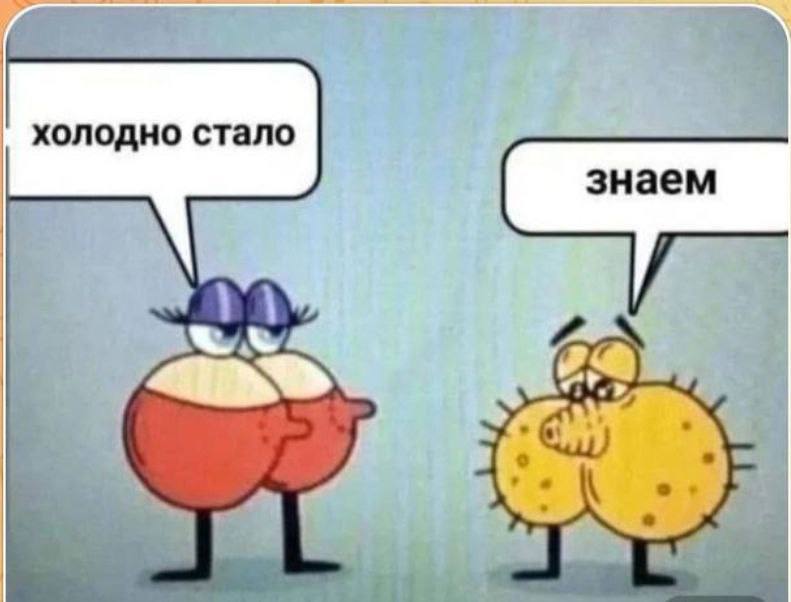 Фотовыставка осени