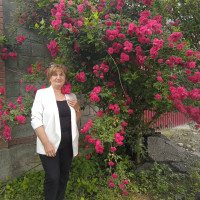 Лилия, Россия, Краснодар, 64 года