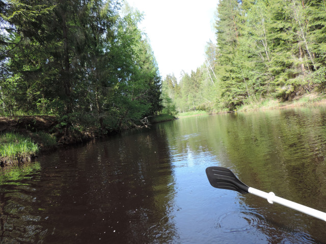 привет пойдём на свидание?