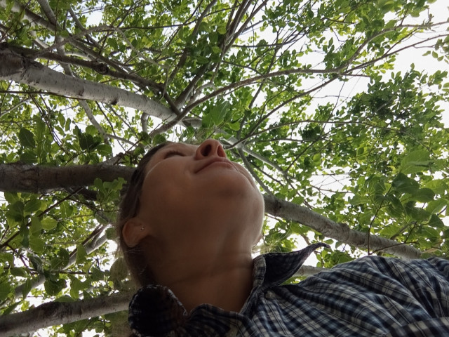 Ольга, Россия, Иркутск, 45 лет, 2 ребенка. Она ищет его: обязательным /сказал-сделал/, некурящим мужчину близкого к моему возраста для дружбы и общения.  Анкета 852950. 