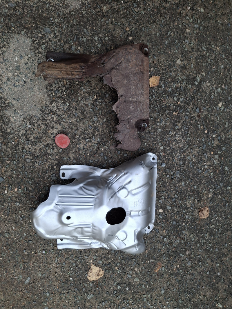 Отвела судьба