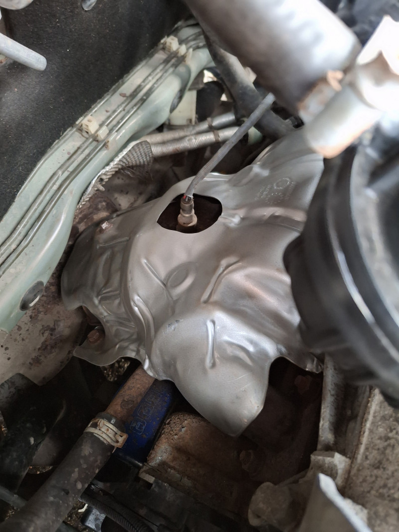 Отвела судьба