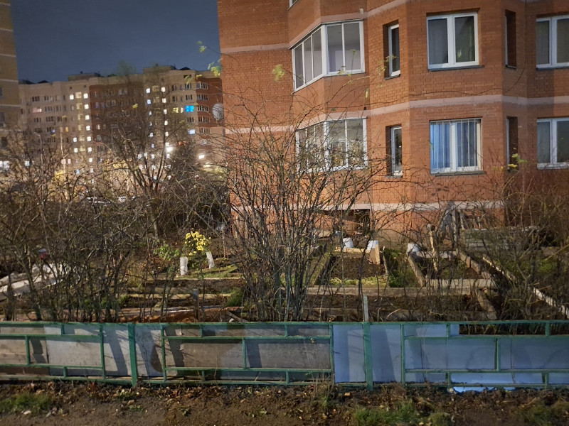 Селяне в городе