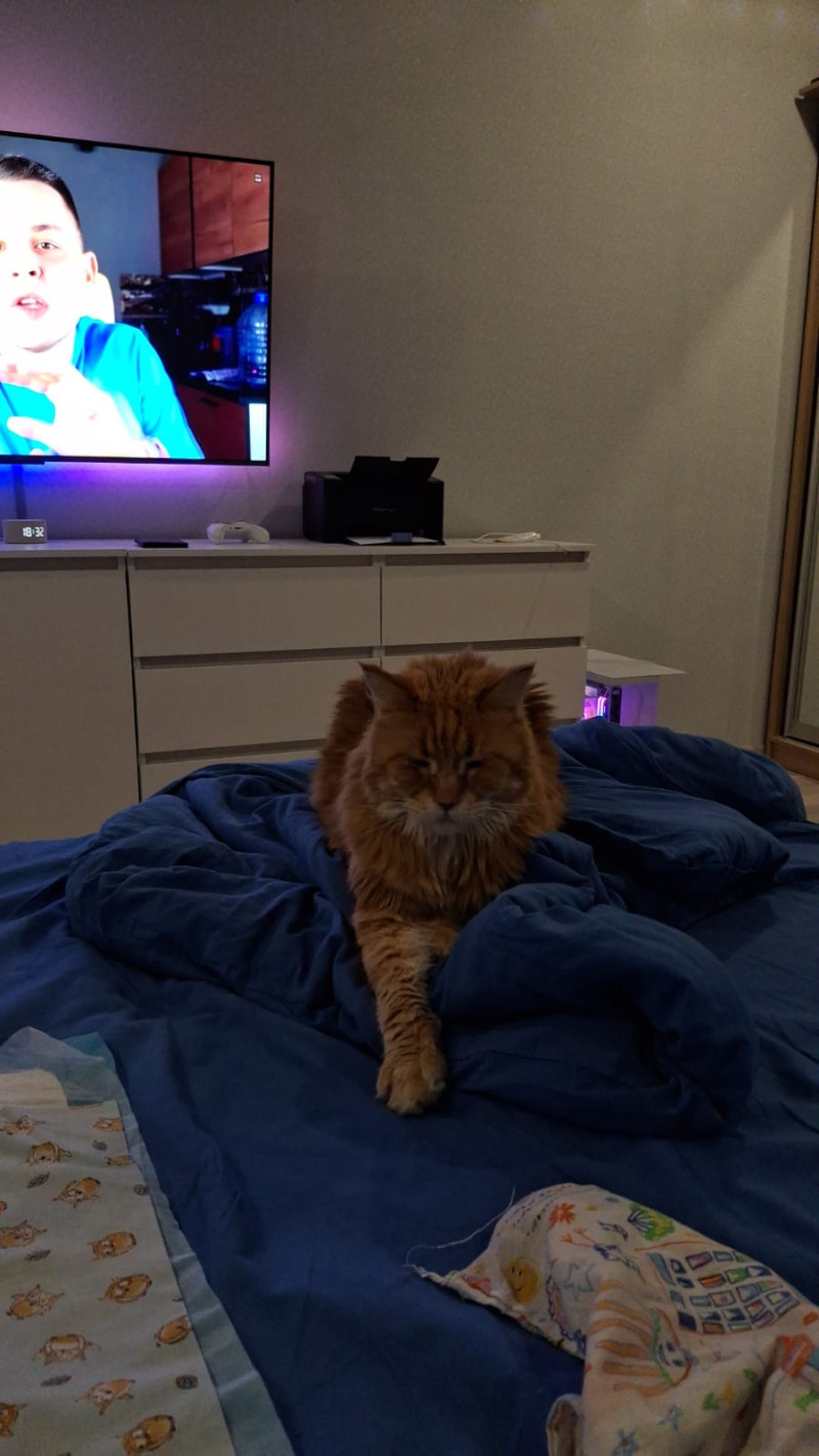 Отцовские чувства