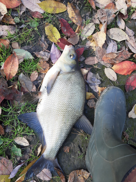 Артём, Россия, Екатеринбург. Фото на сайте ГдеПапа.Ру