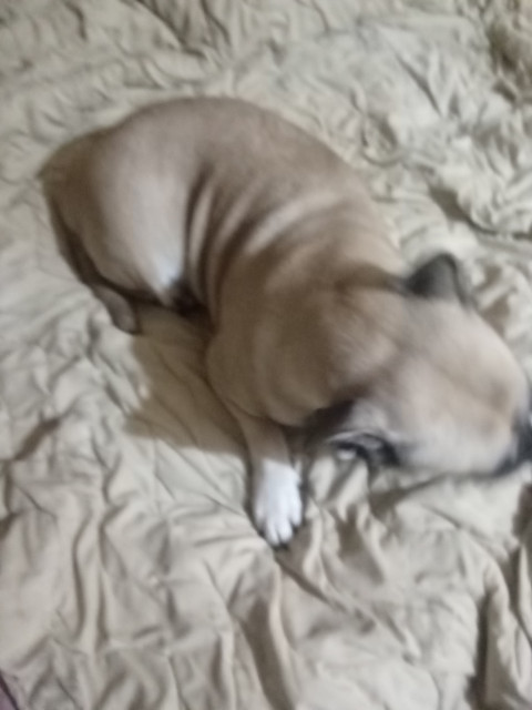 Валентин, Россия, Электросталь. Фото на сайте ГдеПапа.Ру