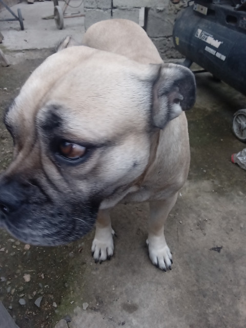 Валентин, Россия, Электросталь. Фото на сайте ГдеПапа.Ру