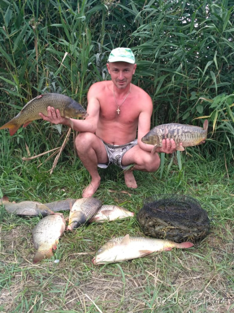 Установить