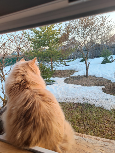 Марина, Россия, Киров. Фото на сайте ГдеПапа.Ру