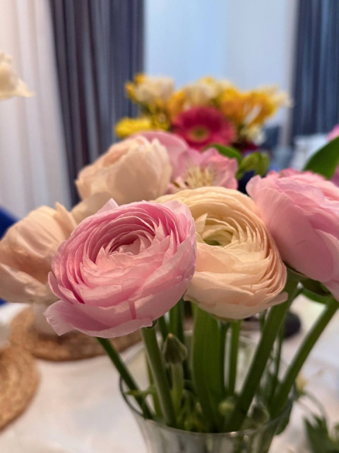 Екатерина, Россия, Ростов-на-Дону. Фото на сайте ГдеПапа.Ру