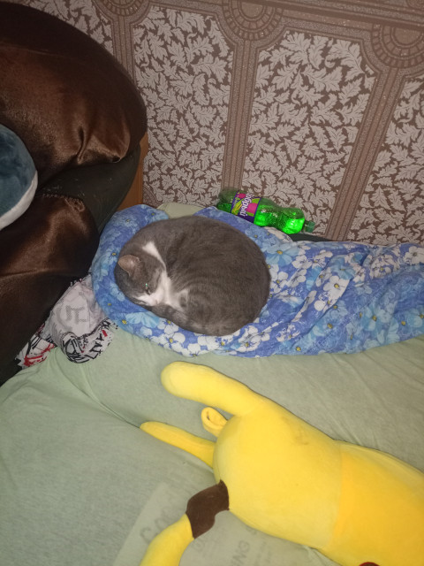 Сергей, Россия, Астрахань. Фото на сайте ГдеПапа.Ру