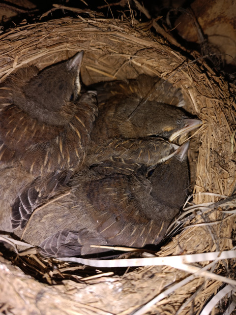 Сергей, Россия, Астрахань. Фото на сайте ГдеПапа.Ру