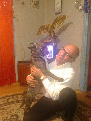 Арсен Арутюнян, Россия, Волгоград, 61 год, 2 ребенка. Ищу: Умную и надёжного  Анкета 854276. 