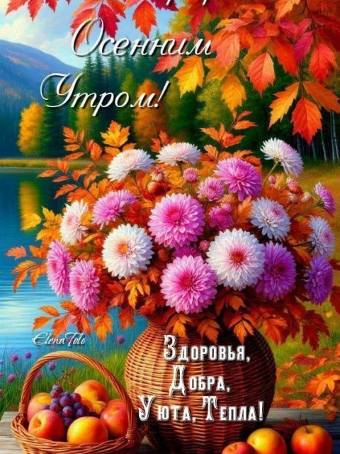 Олег Николаевич Руденко, Беларусь, Брест. Фото на сайте ГдеПапа.Ру