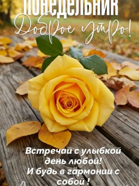 Олег Николаевич Руденко, Беларусь, Брест. Фото на сайте ГдеПапа.Ру