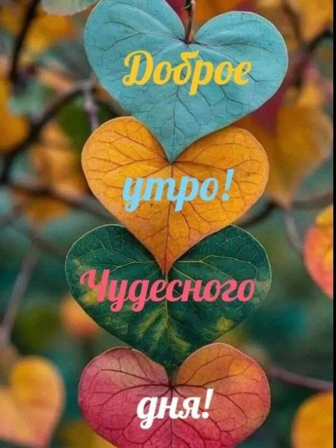 Олег Николаевич Руденко, Беларусь, Брест. Фото на сайте ГдеПапа.Ру