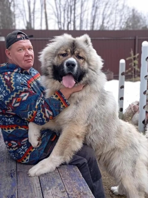 Илья, Россия, Всеволожск. Фото на сайте ГдеПапа.Ру