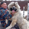 Илья, Россия, Всеволожск. Фотография 1784442