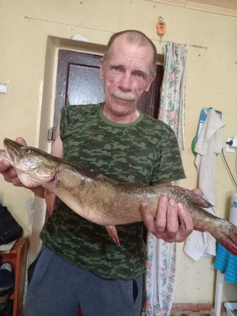 Николай, Россия, Краснодар. Фото на сайте ГдеПапа.Ру