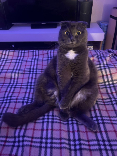 Сергей, Россия, Москва, 53 года. Познакомлюсь с женщиной для любви и серьезных отношений, брака и создания семьи, гостевого брака, воспитания...  Анкета 855538. 