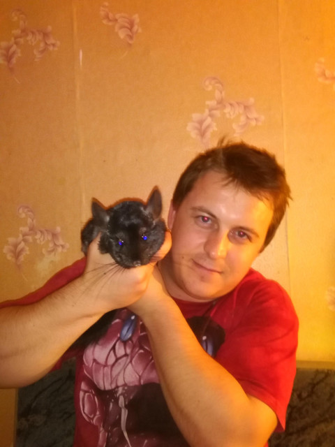 Владимир, Россия, Елец. Фото на сайте ГдеПапа.Ру