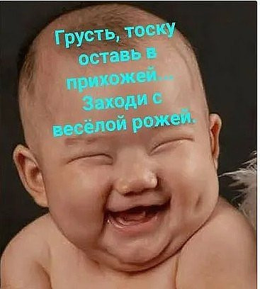 Александр, Россия, Санкт-Петербург. Фото на сайте ГдеПапа.Ру