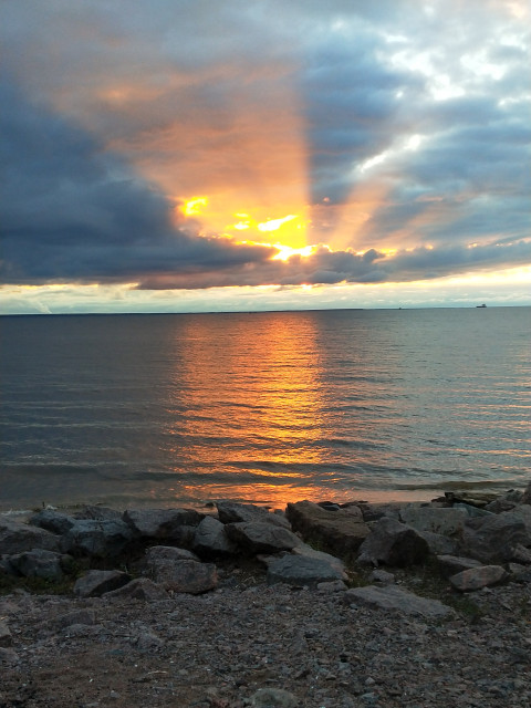 Александр, Россия, Санкт-Петербург. Фото на сайте ГдеПапа.Ру