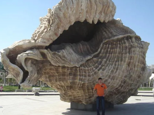 Николай, Россия, Кемерово. Фото на сайте ГдеПапа.Ру