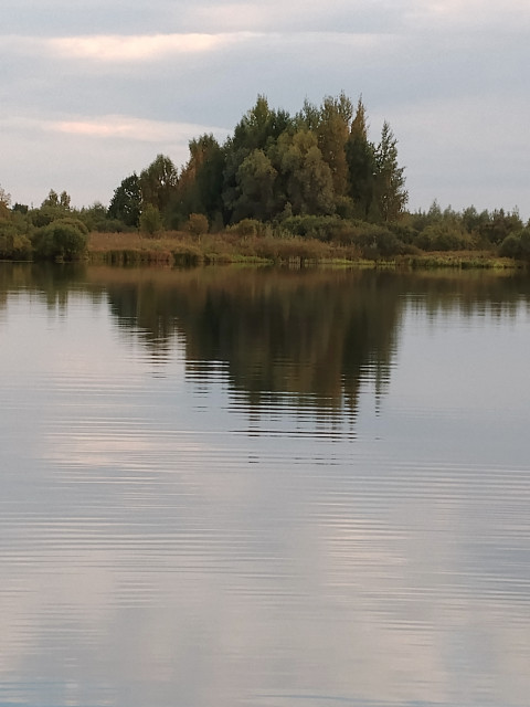 Олег, Россия, Камбарка, 48 лет. Познакомлюсь с женщиной для любви и серьезных отношений.  Анкета 857012. 