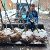 Дмитрий, Россия, Егорьевск, 49 лет