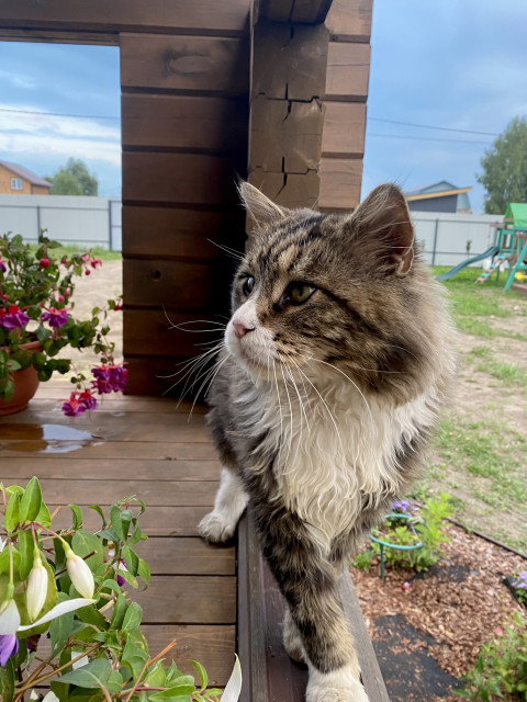 Сергей, Россия, Москва. Фото на сайте ГдеПапа.Ру