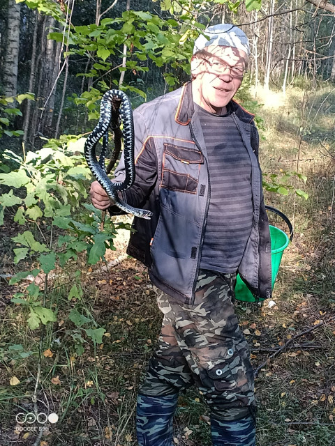 Вова Петров, Санкт-Петербург, м. Проспект Ветеранов. Фото на сайте ГдеПапа.Ру