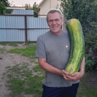 Вова Петров, Санкт-Петербург, м. Проспект Ветеранов, 63 года