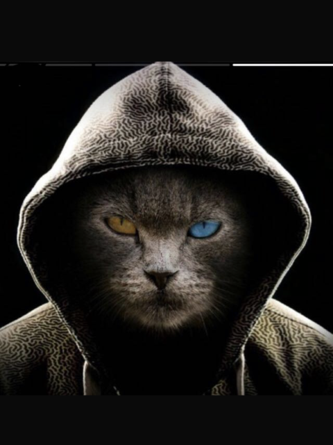 Дмитрий, Москва, м. Улица Скобелевская, 46 лет, 1 ребенок. Сайт одиноких пап ГдеПапа.Ру