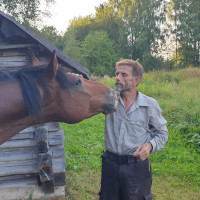 Владимир, Санкт-Петербург, Беговая, 63 года