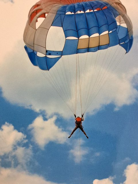 Паршина Елена, Россия, Михайлов. Фото на сайте ГдеПапа.Ру