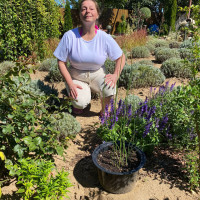 Паршина Елена, Россия, Михайлов, 54 года