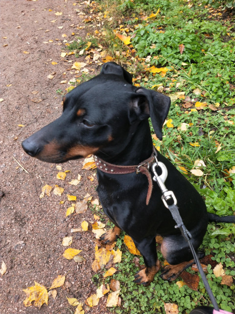 Вера, Россия, Санкт-Петербург. Фото на сайте ГдеПапа.Ру