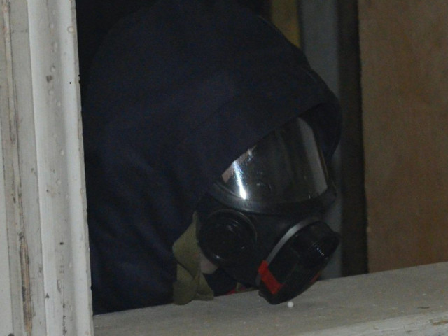 Дмитрий, Россия, Москва, 24 года. " У всех кипят чувства, а у меня чаёчек" 
Тихий, спокойный, слушающий. Интересны лесные п