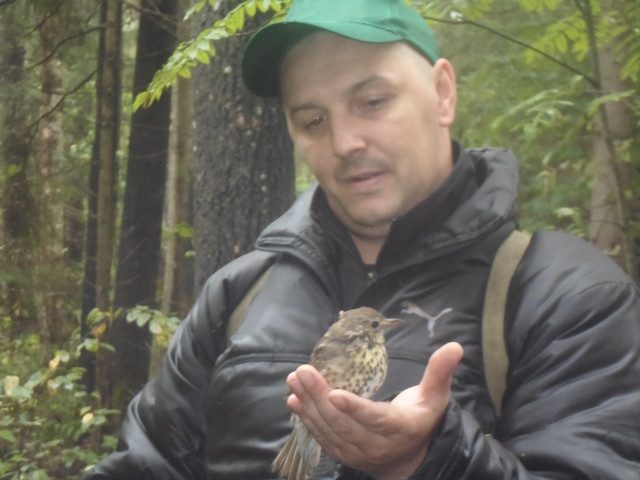 Сергей, Россия, Ярославль. Фото на сайте ГдеПапа.Ру