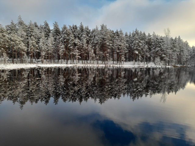 Николай, Россия, Санкт-Петербург. Фото на сайте ГдеПапа.Ру