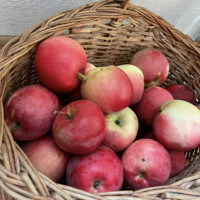 Алексей, Россия, Москва, 50 лет