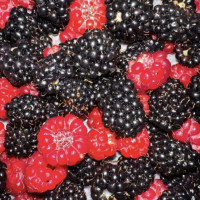 Алексей, Россия, Москва, 50 лет