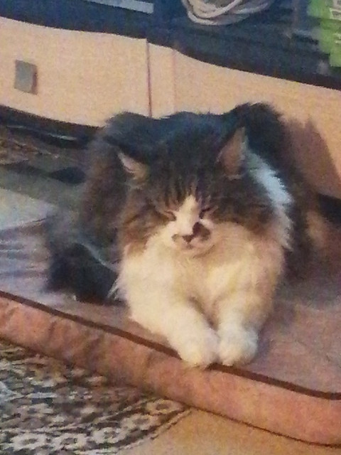 Вячеслав, Москва, м. Люблино. Фото на сайте ГдеПапа.Ру