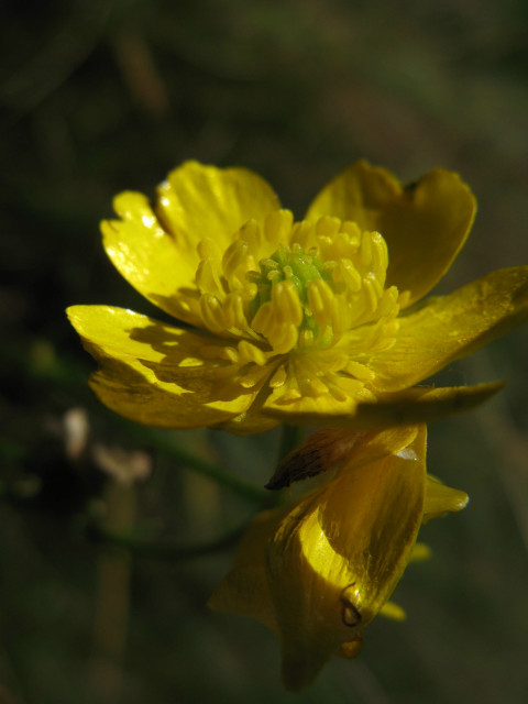 Mari, Россия, Москва. Фото на сайте ГдеПапа.Ру