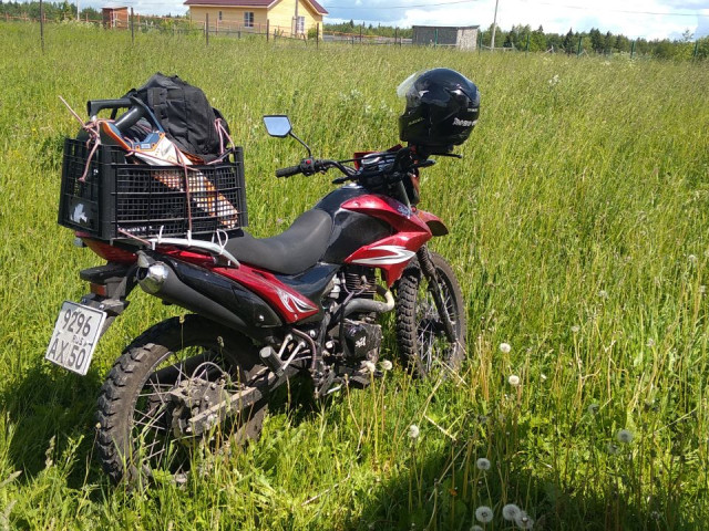 Алехандро, Россия, Москва. Фото на сайте ГдеПапа.Ру