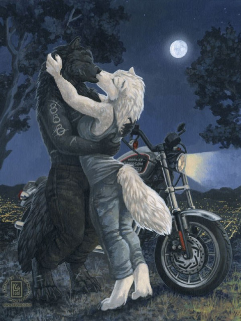 Днём мы одни, а ночью другие