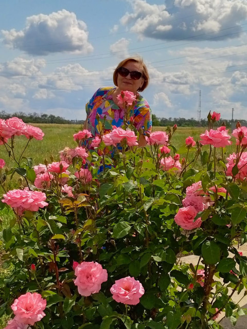 Татьяна, Россия, Краснодар, 61 год. Познакомлюсь с мужчиной для дружбы и общения.  Анкета 860493. 