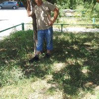 Михаил, Россия, Волгоград, 58 лет